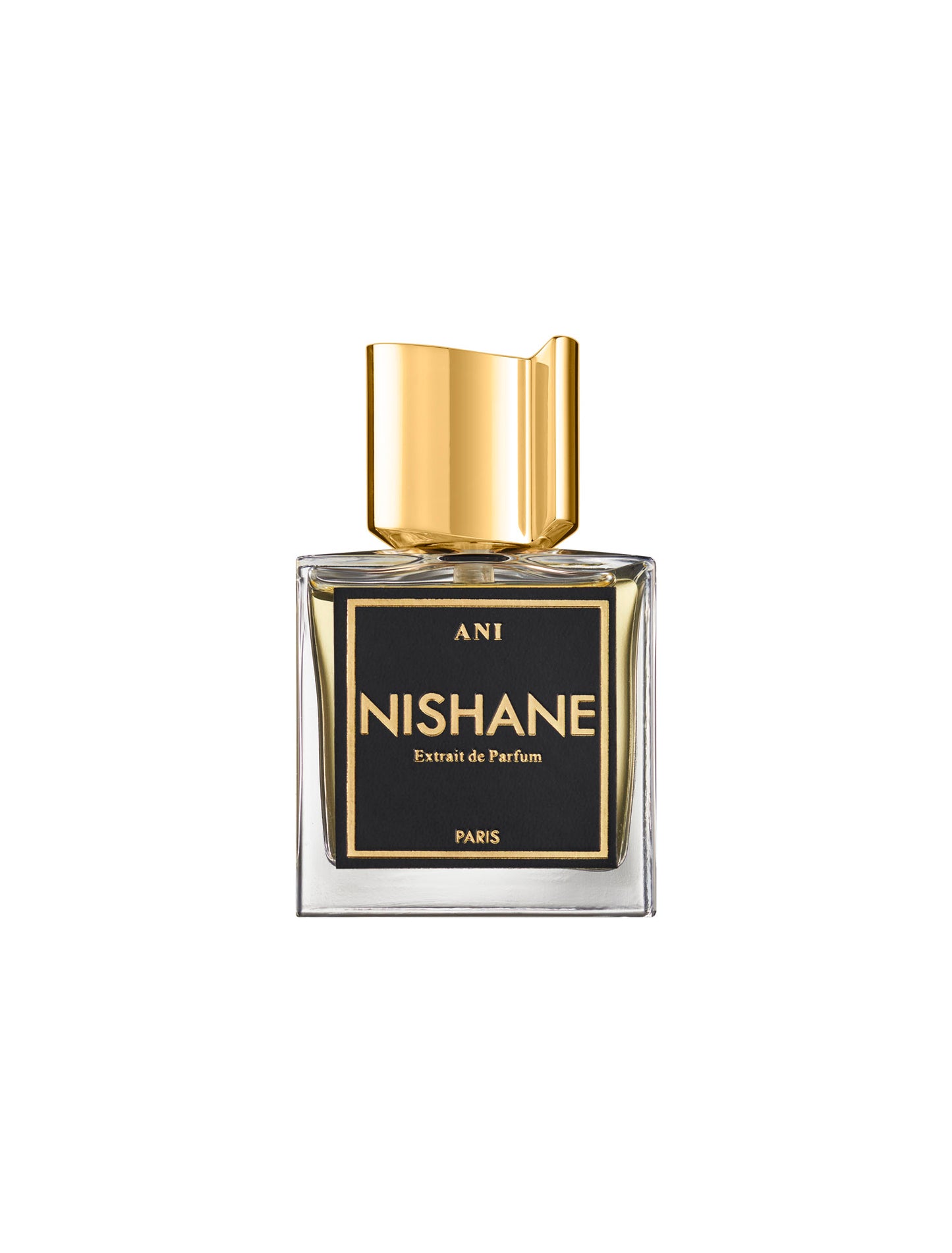 ANI NISHANE